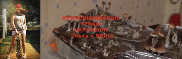 твердый Беломорск