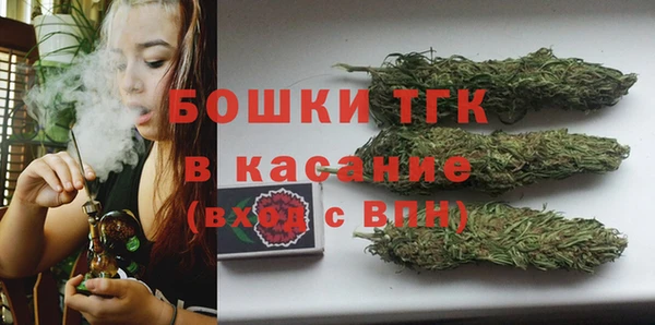 молекула духа Богородск
