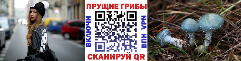 Псилоцибиновые грибы мицелий  mega ссылка  Белая Калитва 